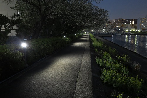 しながわ花海道 東京都品川区 Sd Lighting株式会社 しながわ花海道 東京都品川区 Sd Lighting株式会社